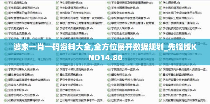 婆家一肖一码资料大全,全方位展开数据规划_先锋版KNO14.80