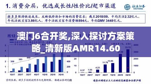 澳门6合开奖,深入探讨方案策略_清新版AMR14.60