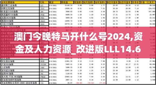 澳门今晚特马开什么号2024,资金及人力资源_改进版LLL14.68