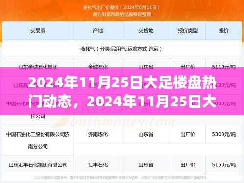 2024年11月25日大足楼盘热门动态全解析，购房指南助你掌握市场动态