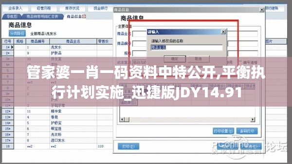 管家婆一肖一码资料中特公开,平衡执行计划实施_迅捷版JDY14.91