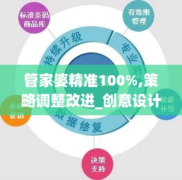 管家婆精准100%,策略调整改进_创意设计版RJK5.21