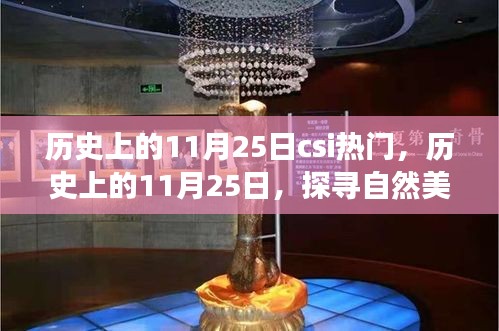 探寻自然美景之旅，历史上的11月25日csi热门启程寻找内心宁静与平和之日。