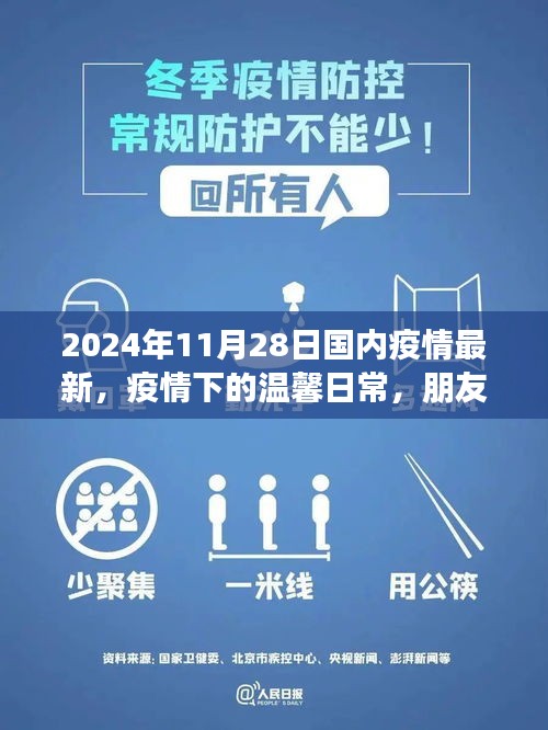 2024年11月28日国内最新疫情动态，疫情下的温馨日常与真挚友情