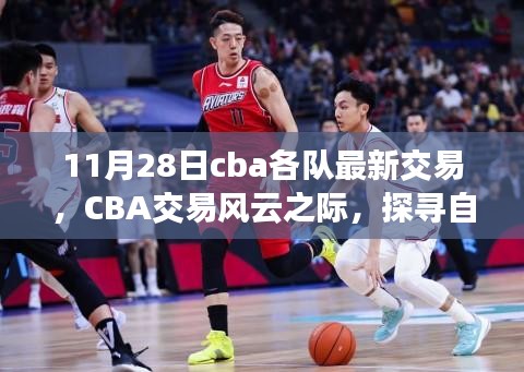 CBA交易风云之际，启程探寻自然美景与内心宁静之旅