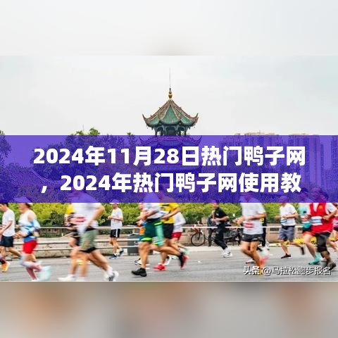 2024年热门鸭子网使用指南，一步步教你成为达人