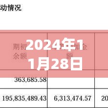 六安汇金国际，学习之光照亮未来，2024年成长飞跃的启示