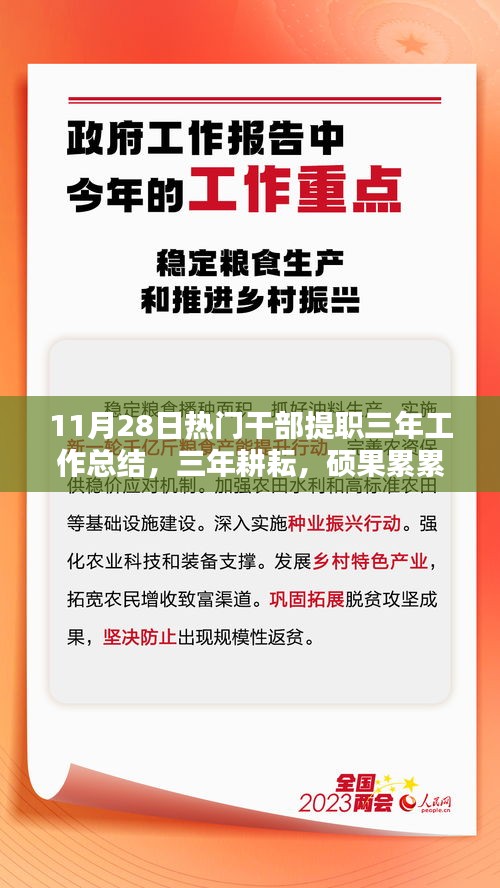 三年耕耘结硕果，11月28日干部提职工作总结报告