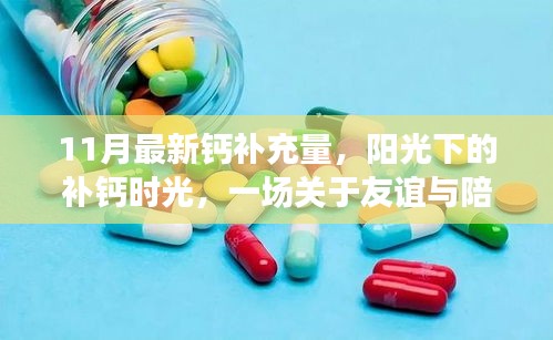 阳光下的补钙时光，友谊与陪伴的温馨故事之钙补充量揭秘