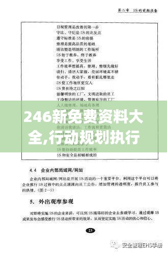 246新免费资料大全,行动规划执行_流线型版JKR18.29