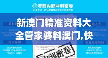 新澳门精准资料大全管家婆料澳门,快速解决方式指南_趣味版HRC18.8