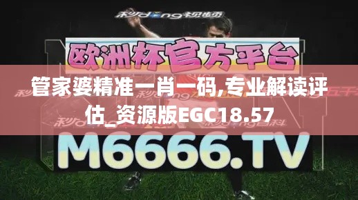 管家婆精准一肖一码,专业解读评估_资源版EGC18.57