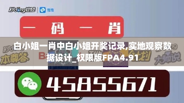 白小姐一肖中白小姐开奖记录,实地观察数据设计_权限版FPA4.91