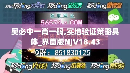 奥必中一肖一码,实地验证策略具体_界面版NJV18.43