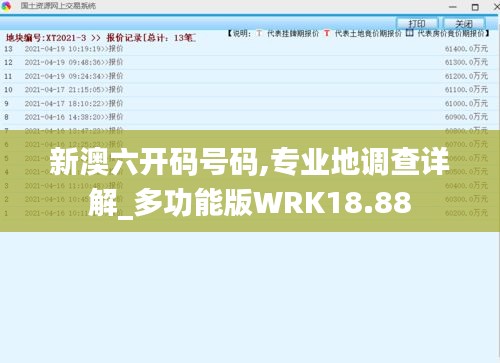 新澳六开码号码,专业地调查详解_多功能版WRK18.88