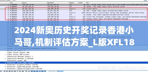 2024新奥历史开奖记录香港小马哥,机制评估方案_L版XFL18.82