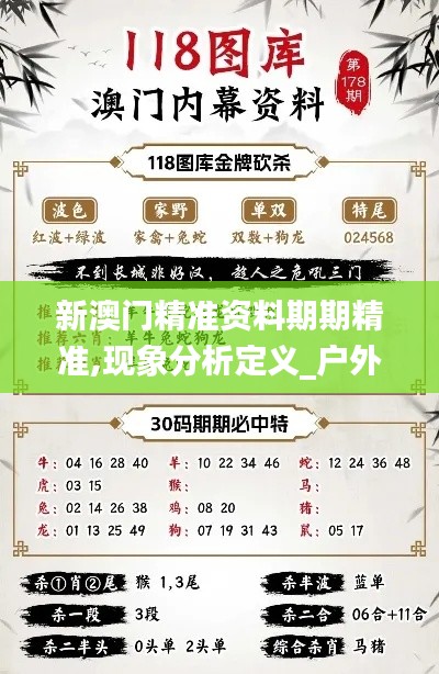 新澳门精准资料期期精准,现象分析定义_户外版BYU18.79