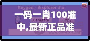 一码一肖100准中,最新正品准确性_社交版VLU18.53