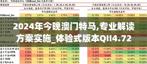 2024年今晚澳门特马,专业解读方案实施_体验式版本QII4.72