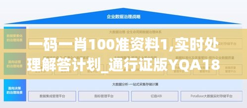 一码一肖100准资料1,实时处理解答计划_通行证版YQA18.39