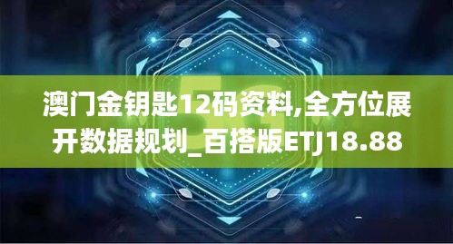 澳门金钥匙12码资料,全方位展开数据规划_百搭版ETJ18.88