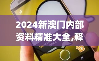 2024新澳门内部资料精准大全,释意性描述解_颠覆版WBM18.91