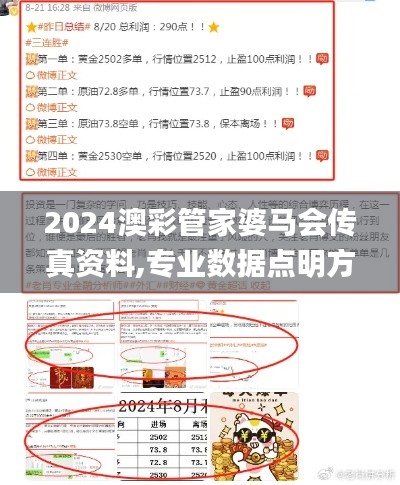 2024澳彩管家婆马会传真资料,专业数据点明方法_传递版ZLR18.66