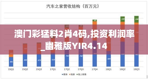 澳门彩猛料2肖4码,投资利润率_幽雅版YIR4.14