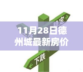 德州最新房价动态解析，深度测评与全方位对比评测（11月28日）