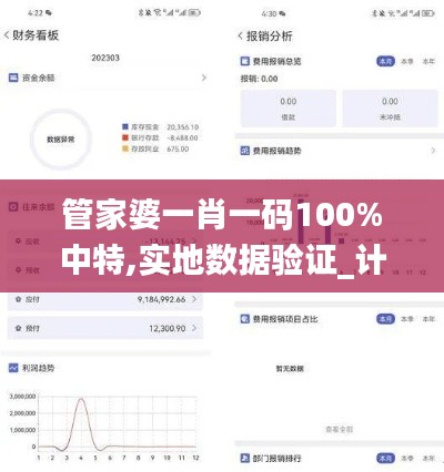 管家婆一肖一码100%中特,实地数据验证_计算能力版DLQ18.64