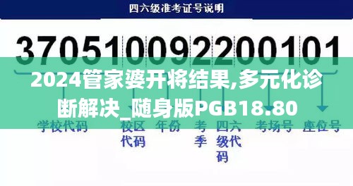 2024管家婆开将结果,多元化诊断解决_随身版PGB18.80