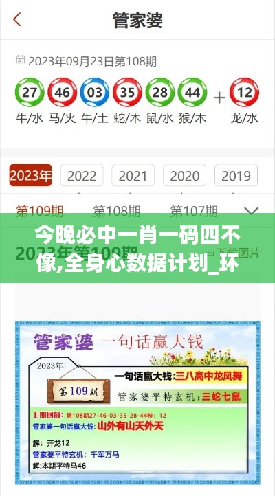 今晚必中一肖一码四不像,全身心数据计划_环境版RDG18.21