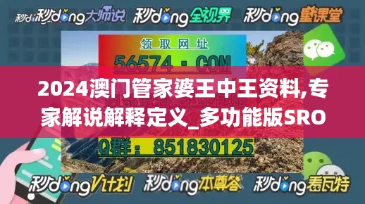 2024澳门管家婆王中王资料,专家解说解释定义_多功能版SRO4.15