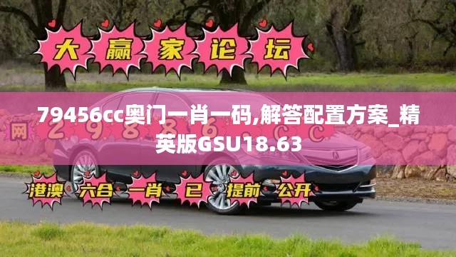 79456cc奥门一肖一码,解答配置方案_精英版GSU18.63