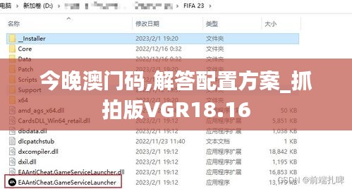 今晚澳门码,解答配置方案_抓拍版VGR18.16