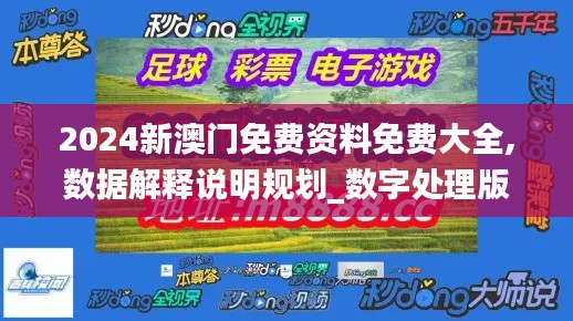 2024新澳门免费资料免费大全,数据解释说明规划_数字处理版YFG18.49