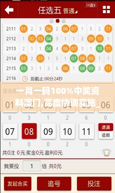 一肖一码100%中奖资料澳门,高度协调实施_极速版OVL4.54