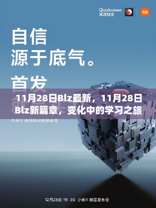 11月28日Blz新篇章，变化中的学习之旅，自信成就闪耀光芒