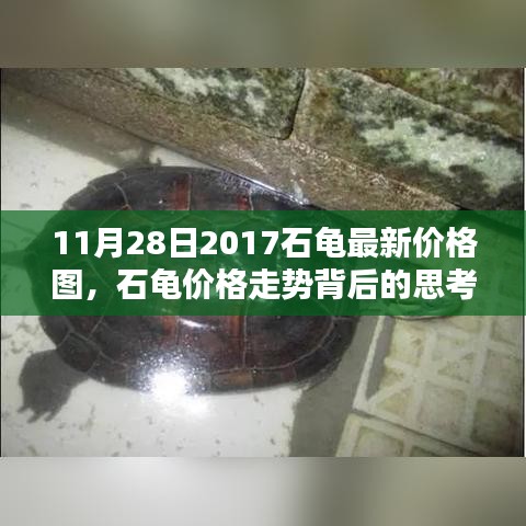 石龟价格走势深度解析，最新价格图与背后的市场动态（2017年11月28日）