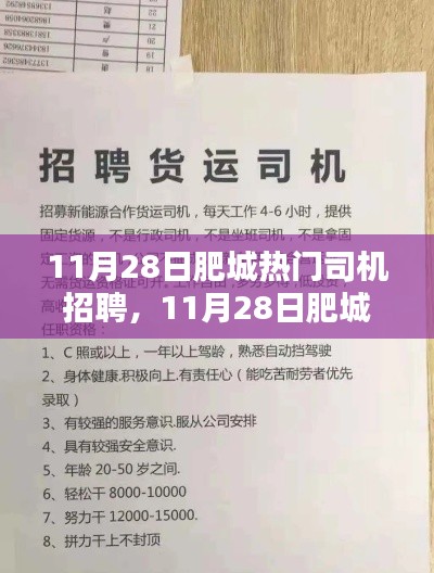 11月28日肥城热门司机招聘背后的行业现状与个人选择探讨