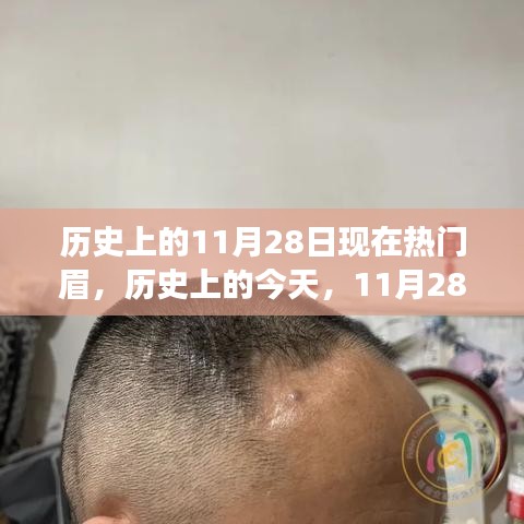 历史上的今天，拥抱学习与变化的力量——以11月28日的命运转折为启示之光