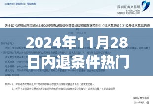 揭秘重磅新规，深度解读内退政策，一文掌握2024年内退条件热门规定揭秘！