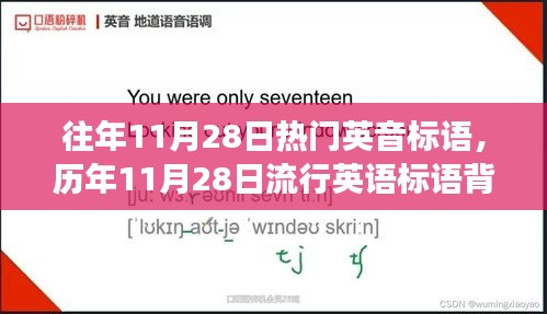 历年11月28日英语标语背后的力量，学习变革，自信成就梦想之路