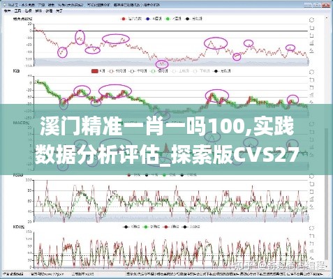 溪门精准一肖一吗100,实践数据分析评估_探索版CVS27.572