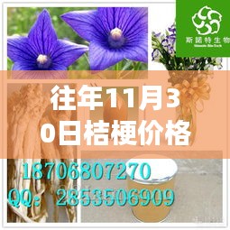 往年11月30日桔梗价格深度解析与观点阐述，最新动态及市场趋势报告