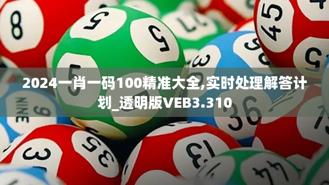 2024一肖一码100精准大全,实时处理解答计划_透明版VEB3.310