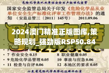 2024澳门精准正版图库,策略规划_强劲版RSP50.849