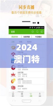 2024澳门特马今晚开奖亿彩网,执行验证计划_家庭影院版VFY24.185