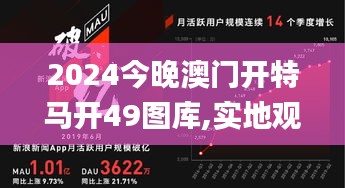 2024今晚澳门开特马开49图库,实地观察数据设计_品味版FIN81.946