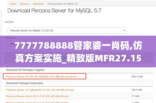 7777788888管家婆一肖码,仿真方案实施_精致版MFR27.156